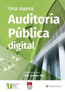 Una nueva Auditoría Pública digital