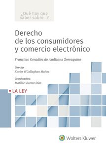 Derecho de los consumidores y comercio electrónico (Colección ¿Qué hay que saber sobre...?)